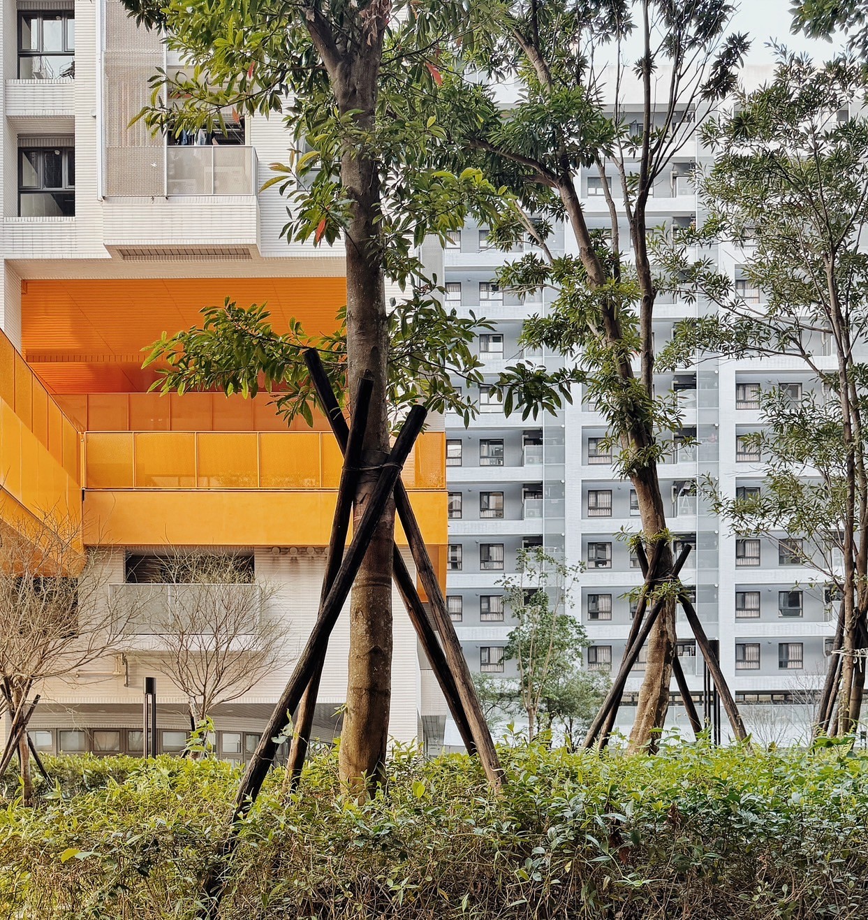 「土城員和段青年社會住宅」由陳章安聯合建築師事務所設計，榮獲台灣住宅建築獎集合住宅佳作獎。以合院式配置，創造互動及自然連結的社區空間，開放式的設計引入綠帶空間，提升鄰里聯繫，同時實現綠色建築概念，成為城市中的綠洲