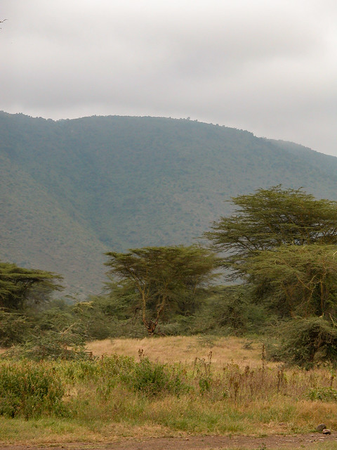 Mt. Kenya (?).jpg