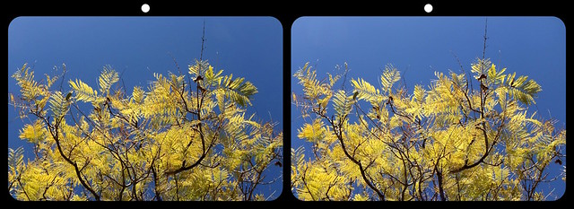Crossview 3D № 212 | Untitled