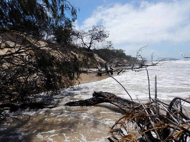 Erosion Coonarr beach,13th March 2024