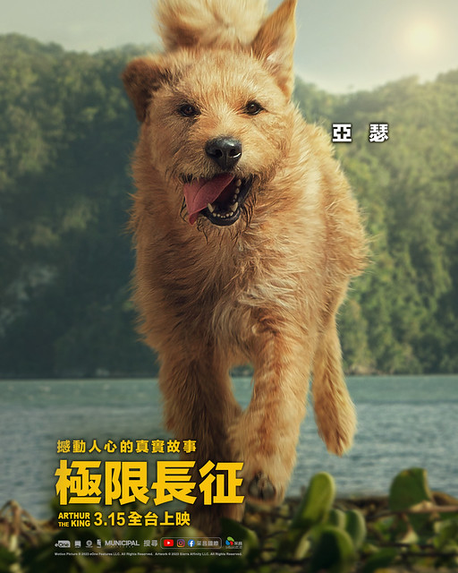 The Movie posters and stills of USA Movie "電影《極限長征》(Arthur the King)  will be launching from Mar 15, 2024 onwards in Taiwan,