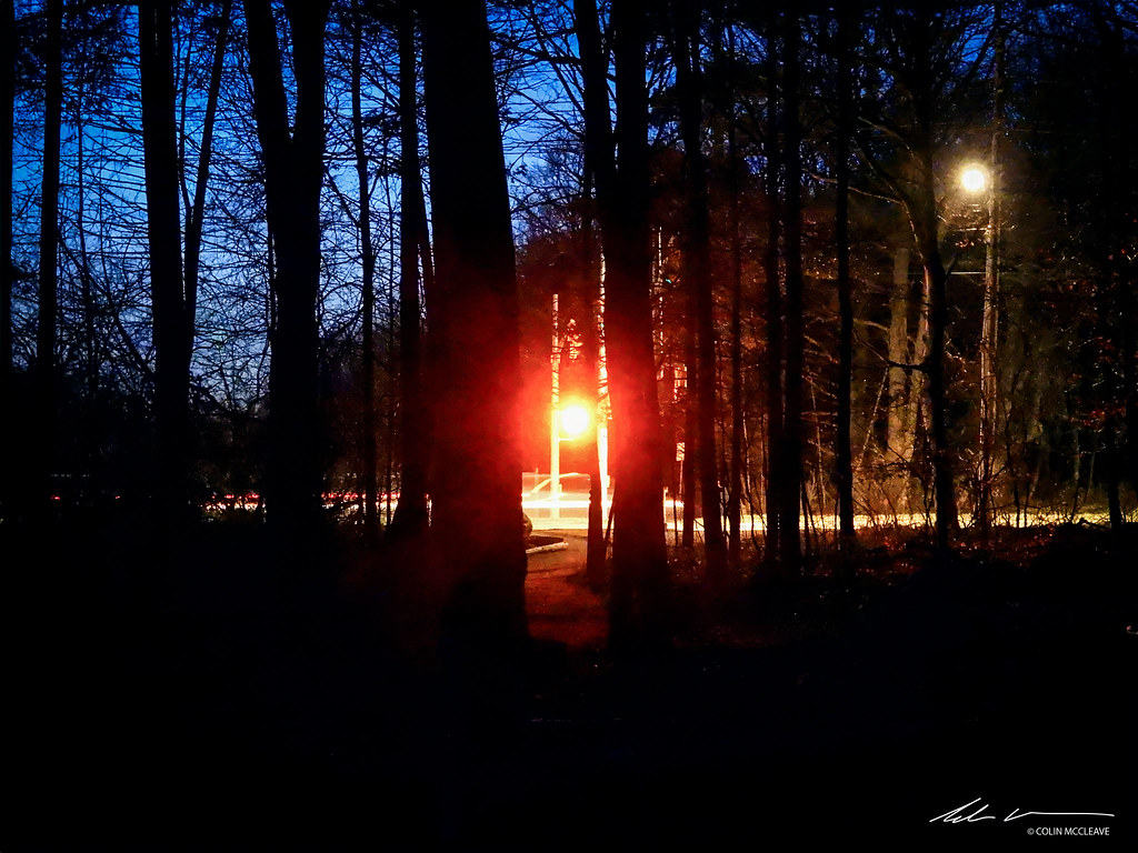 LIGHTS THROUGH THE TREES-NIKON P950-DSCN0720