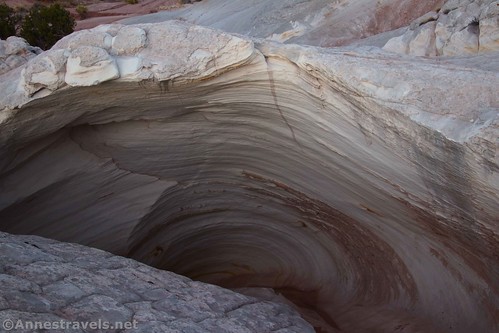 Looking down into the swirling section of the Nautilus, Grand Staircase-Escalante National Monument, Utah