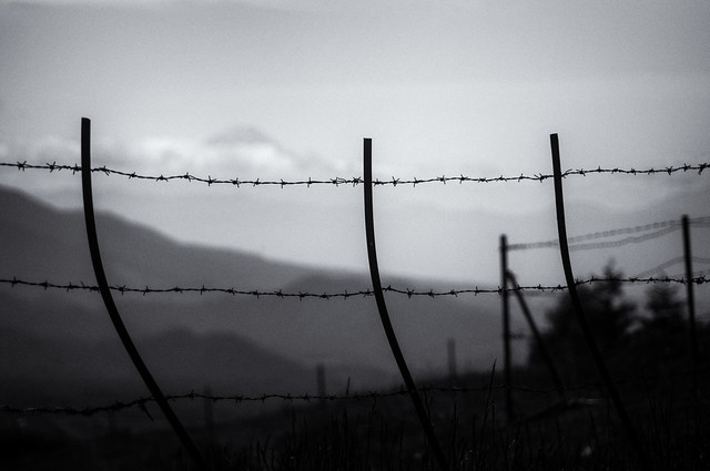 beyond the fence /3