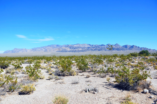 Sheep Mountain Range, Nevada, Clark County, Desert National Wildlife Refuge