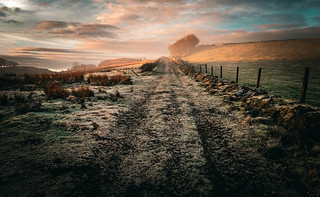 Sunrise Light, Track to North Castlewalls Farm, Whittliemuir, Howwood, Renfrewshire, Scotland, UK