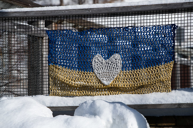 Slava Ukraini in Winter
