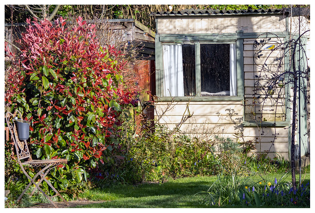 Garden Shed in Early Spring Sunlight IMG_1350
