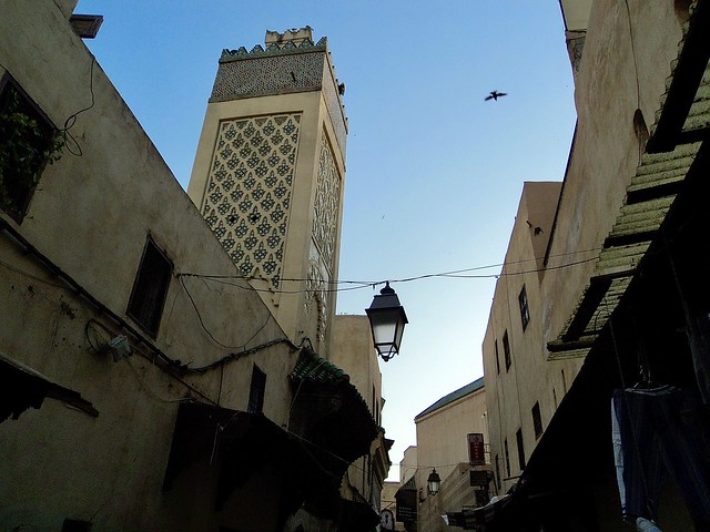Fez, Morocco (2011) - المغرب