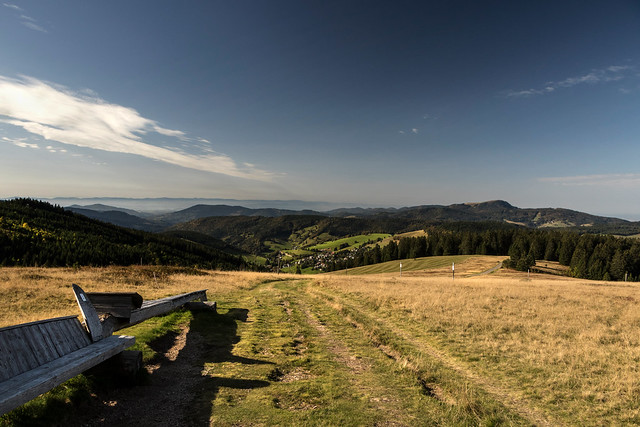 Weitblick / Wide view, Black Forest (Germany)