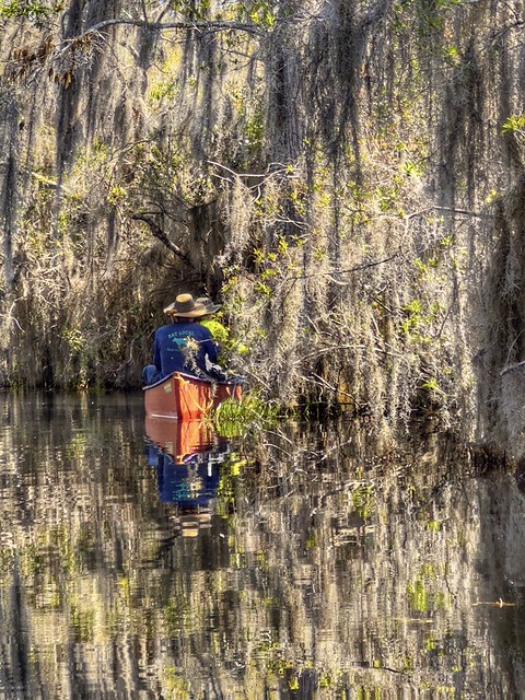 Exploring the Okefenoke Swamp. Folkston, GA