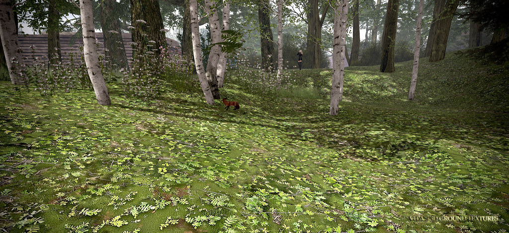 NEW 3D Texture - MOSS AND FERN GROUND