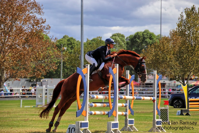Show jumping.