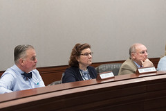 State Rep. Cindy Harrison, Ranking Member of the Commerce Committee, listens to testimony during a  public hearing.