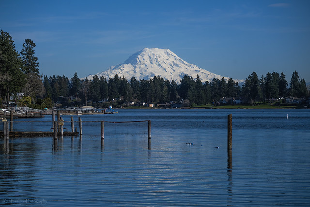 Yes, another photo of Mt. Rainier from American Lake on a beautiful blue sky day!