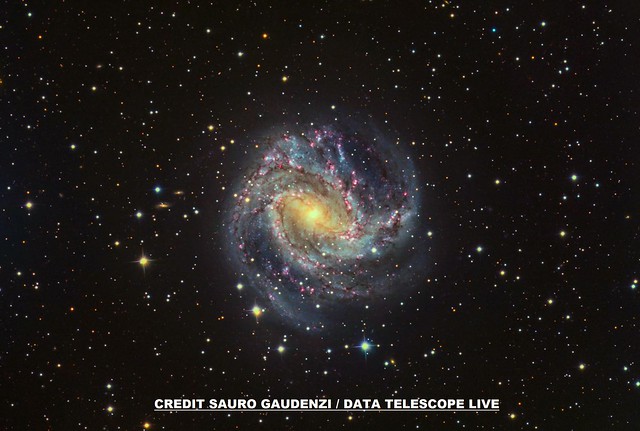 M 83-4-Telescope Live