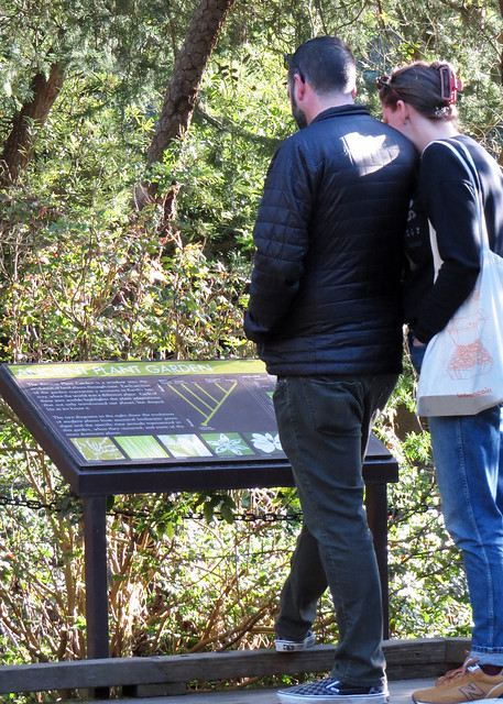 Couple looking at information sign Botanical Garden Golden Gate Park San Francisco 20240226-160852
