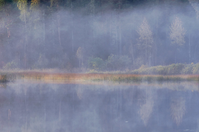 Mist by the lake