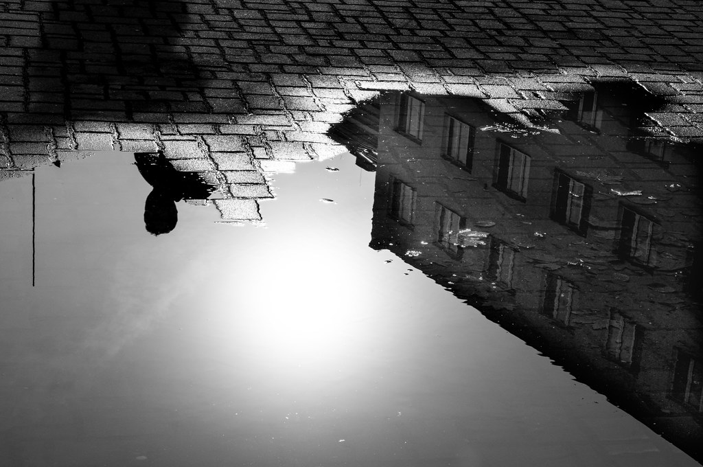 Sun in a puddle