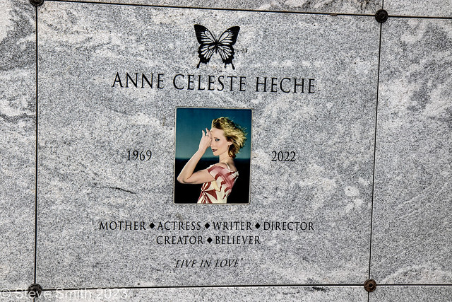 Anne Heche