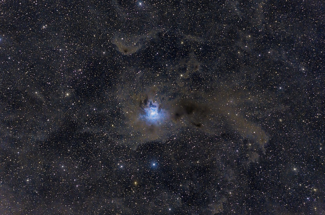 The Iris Nebula | NGC 7023