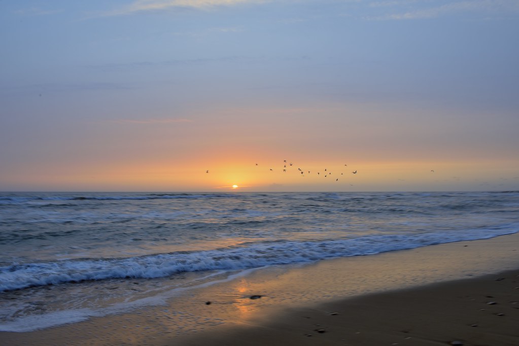 La Paracou Sunset Ocean Atlantic