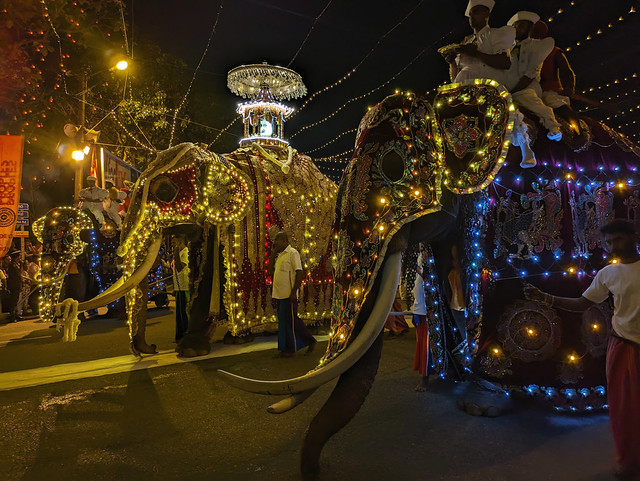 Three Elephants - February Full Moon (Poya) Festival - Colombo. Sri Lanka