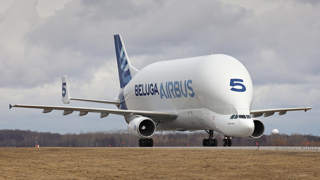 579 Airbus Beluga - A300ST - F-GSTF