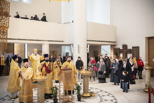 Monseigneur Nestor a célébré la Divine Liturgie du dimanche de l'exil d'Adam du Paradis (2024-03-17)