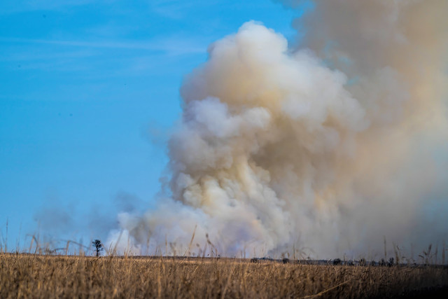 Control burn in the Tall Grass Prairie, Pawhuska, Oklahoma.