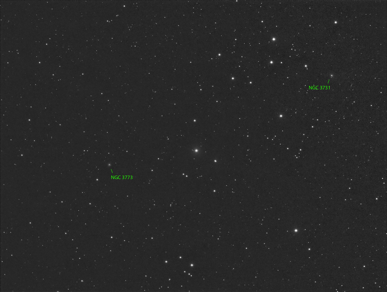 NGC 3731 - Luminance