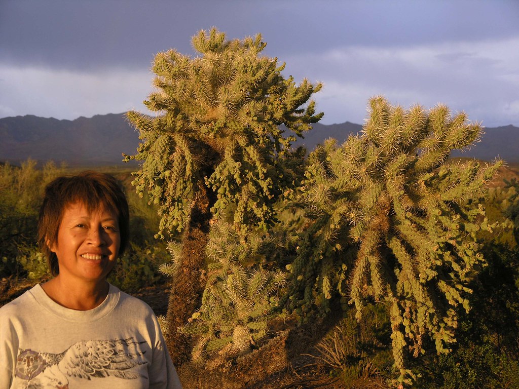 Enriqueta with a Jumping Cholla Cactus at sunset; San Pedro River Valley, SE of San Manuel, AZ