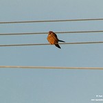 P1610316