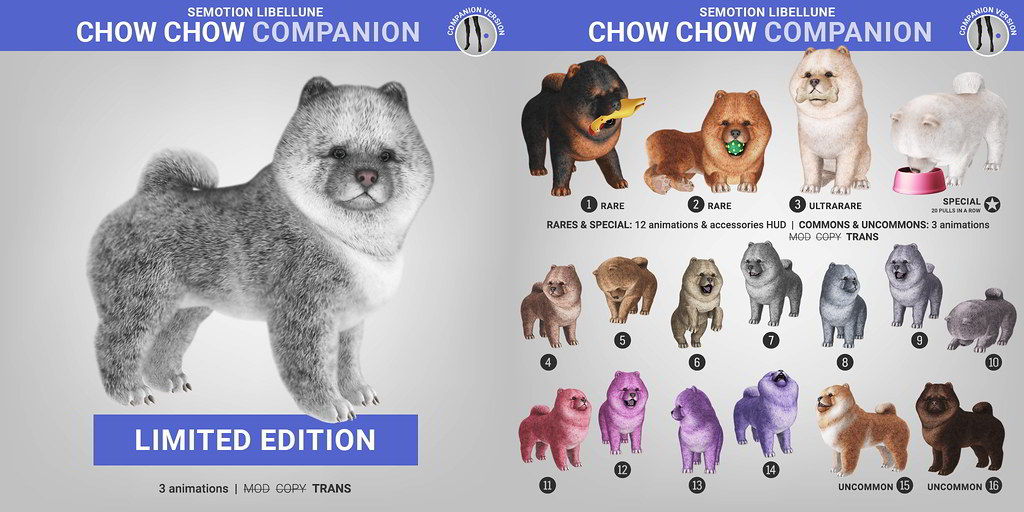 SEmotion Libellune Chow Chow Companion