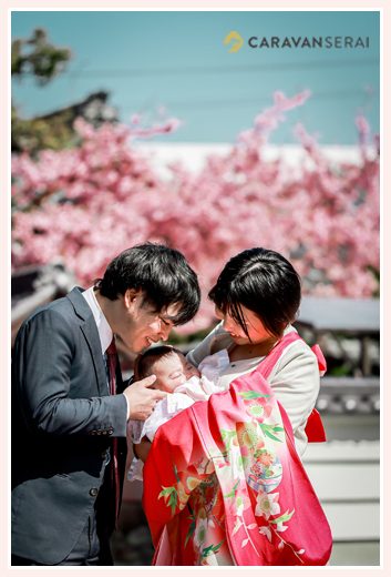 春日井市でお宮参り　バックには満開の河津桜