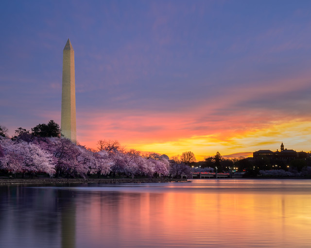 Cherry Blossom sunrise