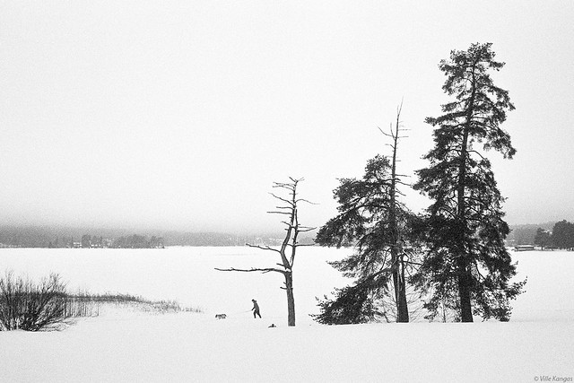 Walkers in winter landscape