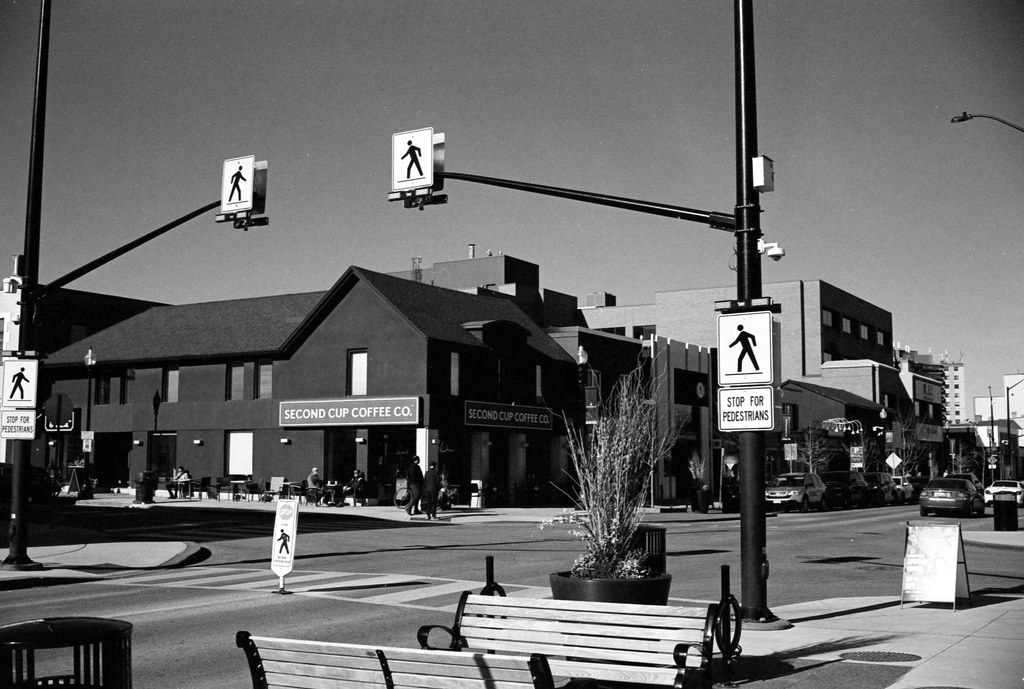 Crosswalk Across From Second Cup