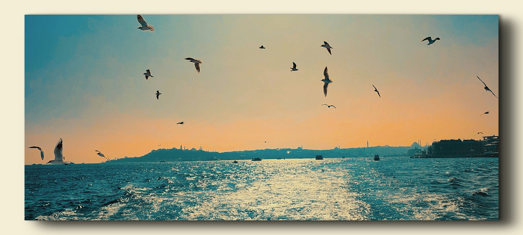 Boat chasing in Istanbul...