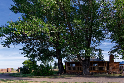 A Place Under the Tall Trees by thor_mark , While staying at a bed and breakfast in the Cuba, New Mexico, area with a view looking to the north-
