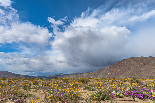 Storm Clouds at Anza Borrego Desert State Park