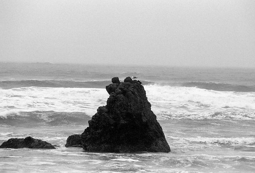 Cannon Beach Facing West
Taken 01/20/2024
Taken by @35mm.delrio and/or Yovanni Del Rio
Taken in cannon beach 
Black and white 35mm film .