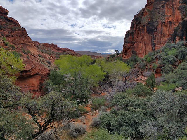 View down the canyon from Red Reef Trail