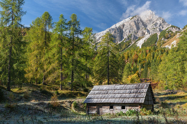 Frost covered wooden barn with larch trees and snow covered mountain, Julian Alps, Slovenia