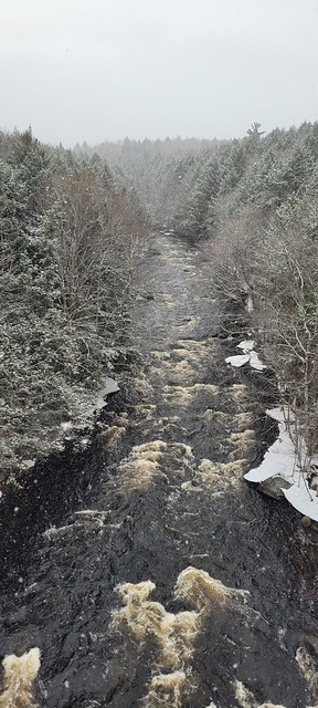 Shogomoc creek