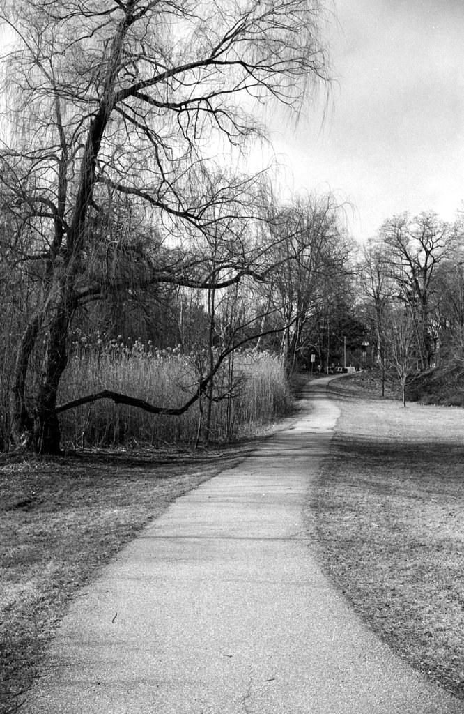Pinewood Park Path Mar 2024