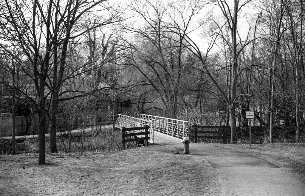 Bridge over Morrison Creek in Pinewood Park Mar 2024