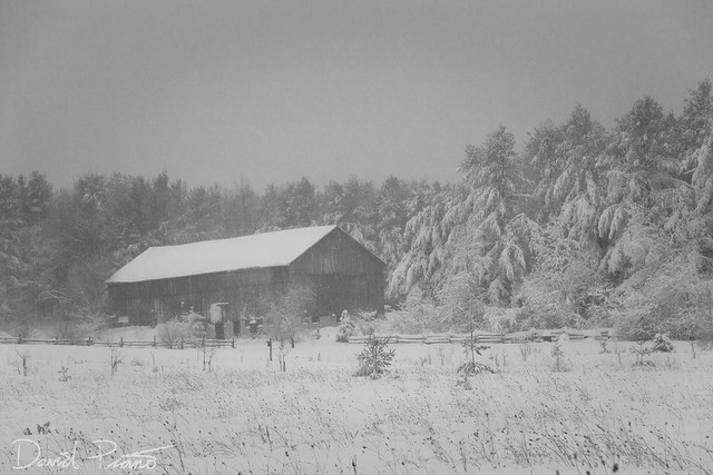 Snowstorm in Grey County, ON - Dec. 1, 2020