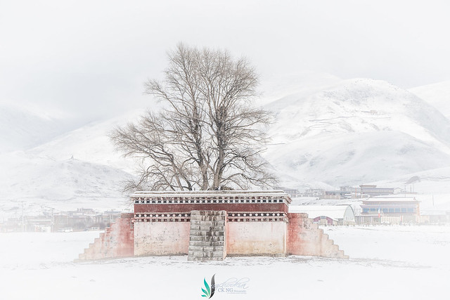 Winter Landscape II Aba Sichuan 冬季风景 II 阿坝藏族羌族自治州