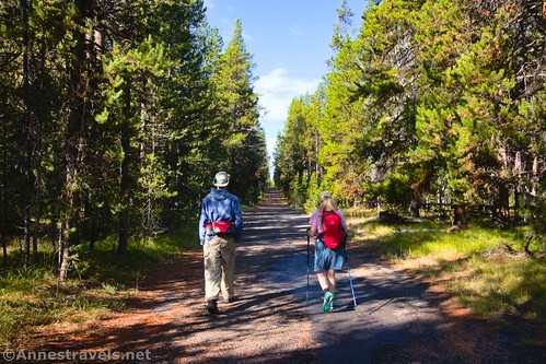 Hiking up the old road to the Natural Bridge, Yellowstone National Park, Wyoming